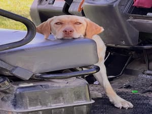 {{ custom_values.service_4 }} in {{custom_values.area_4})