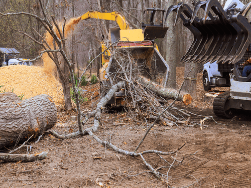  Household Junk Removal