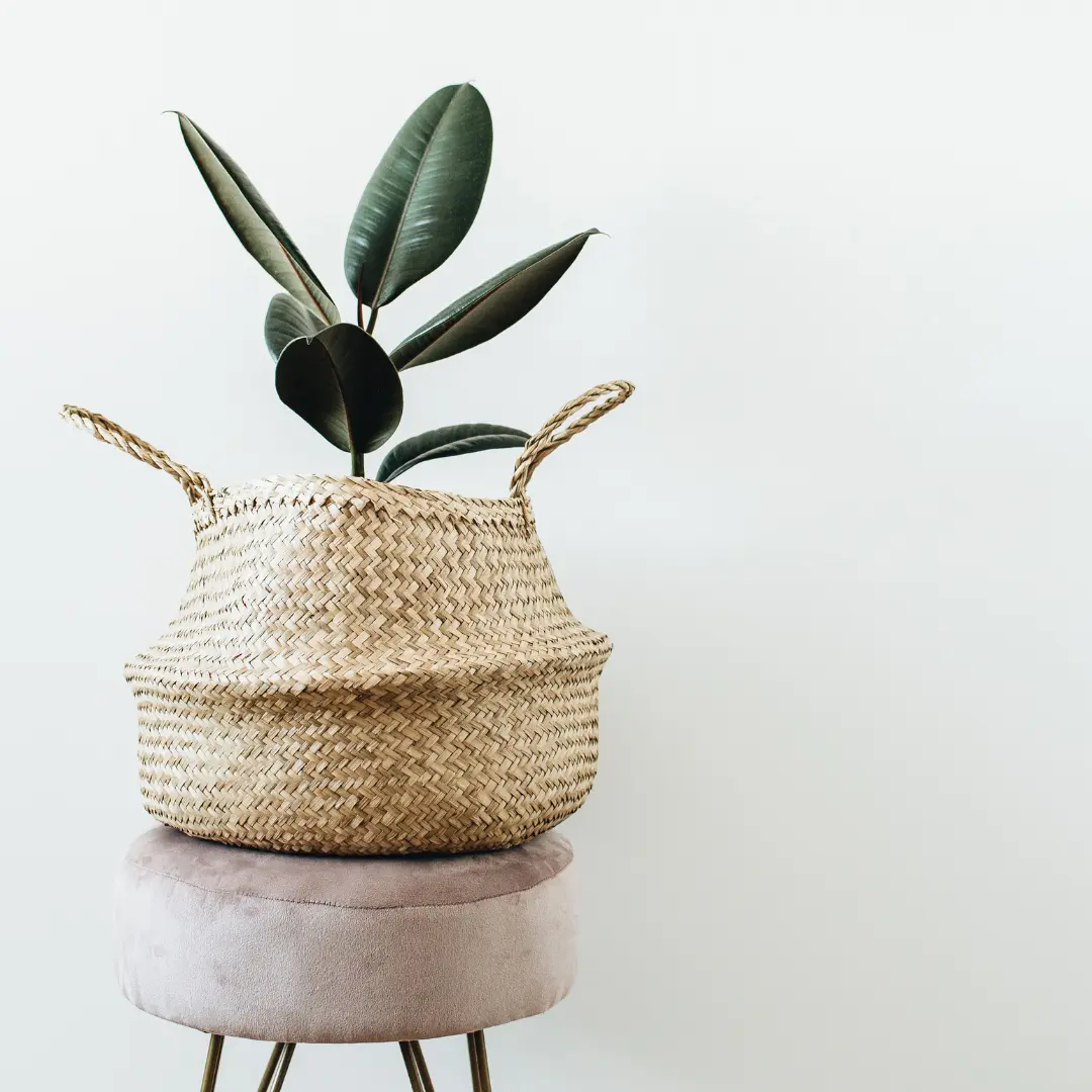 remortgage to raise funds for a deposit