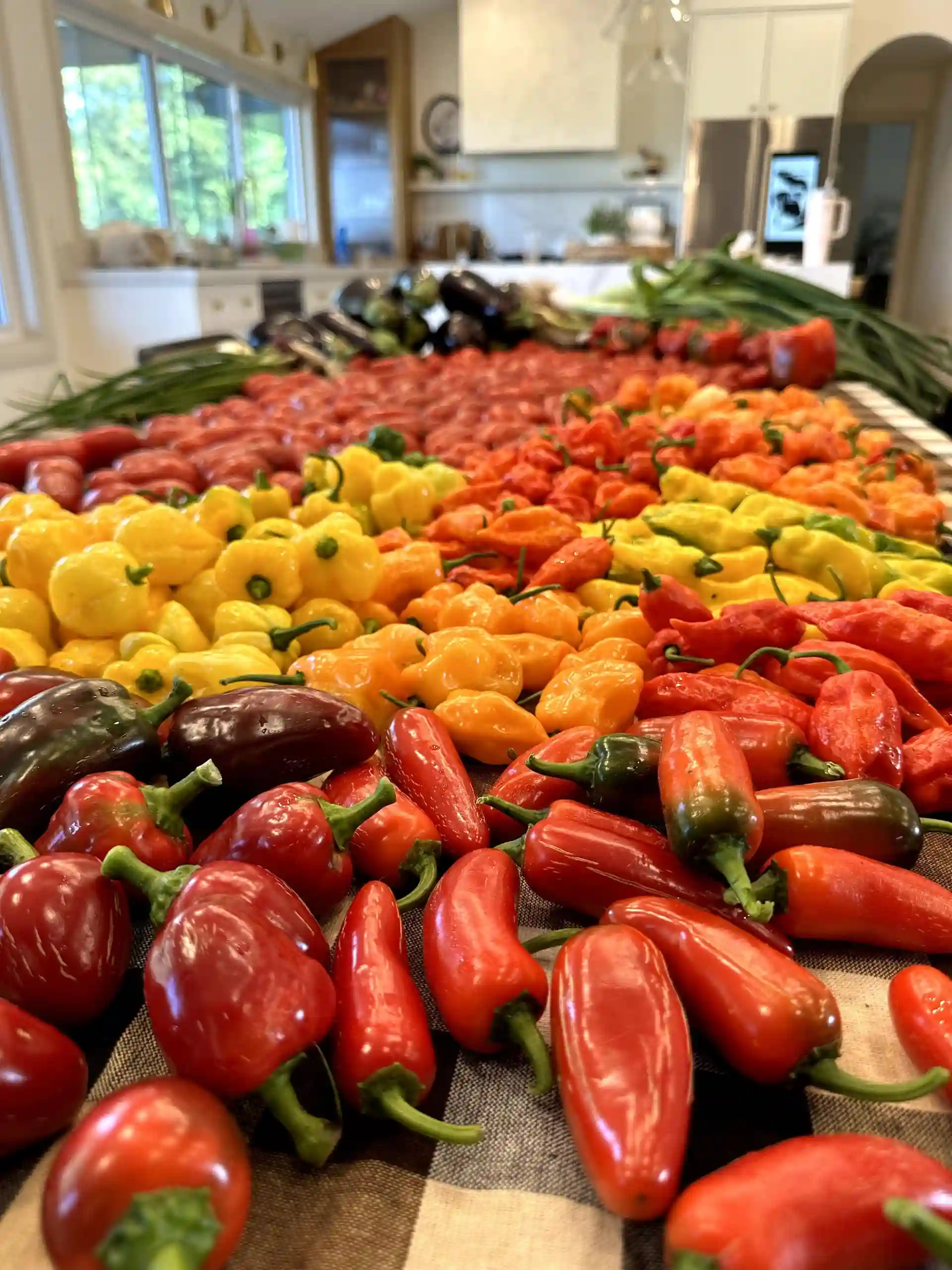 Beautiful vegetables from the garden area at The White House