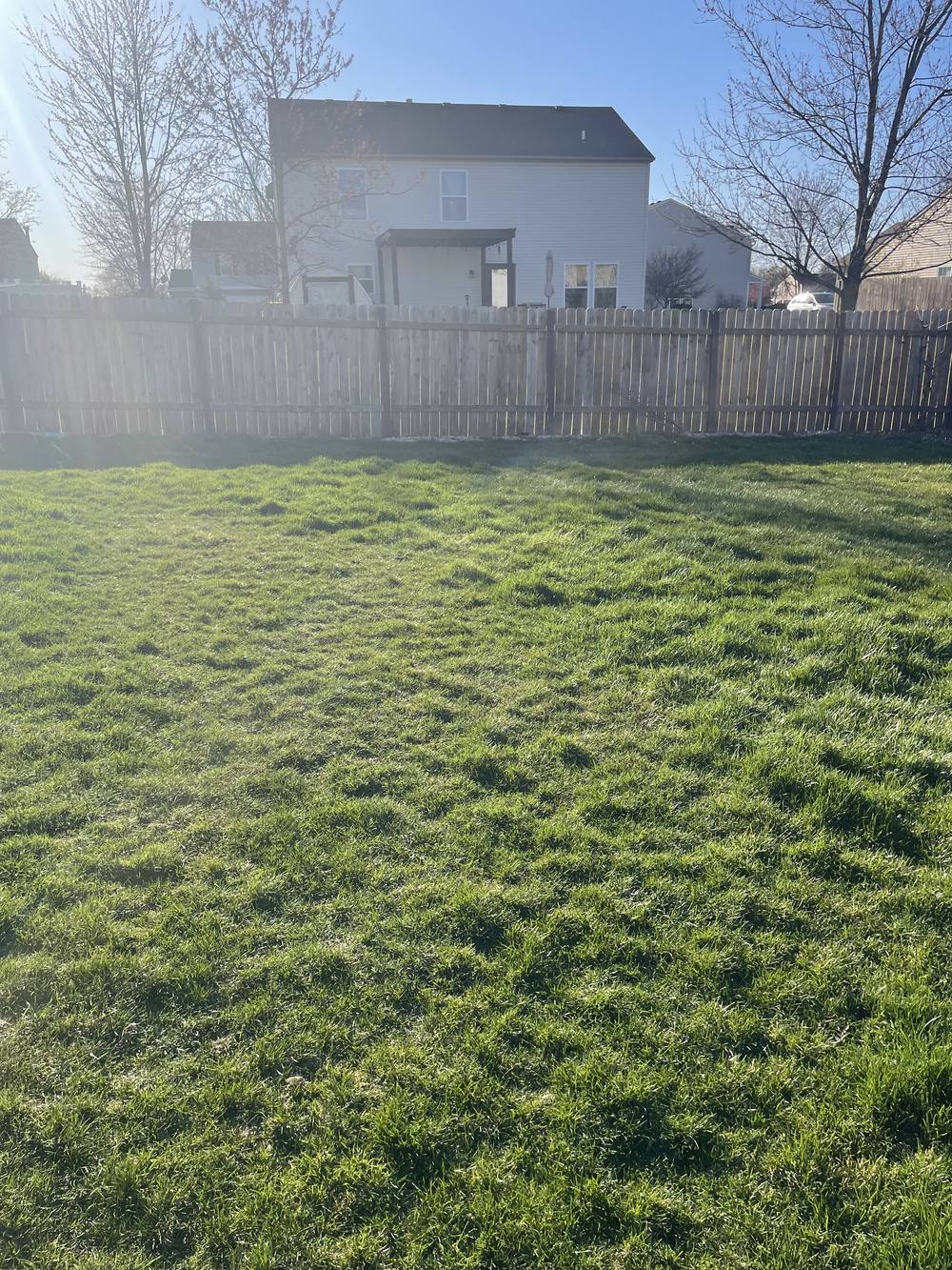 Finished wood fence repair with green lawn