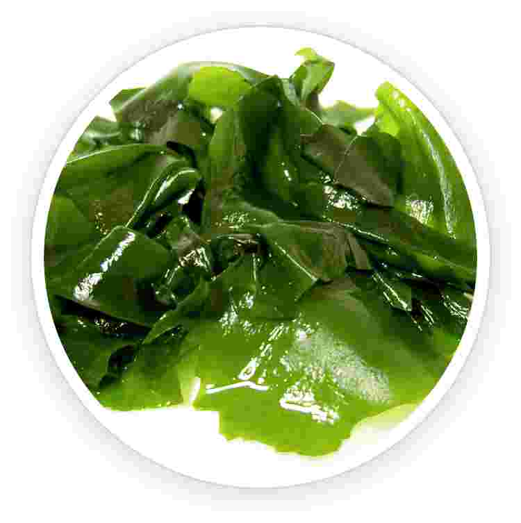 Wakame