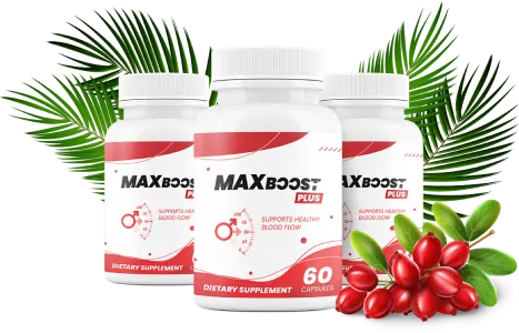 Max Boost erection supplement-bottles