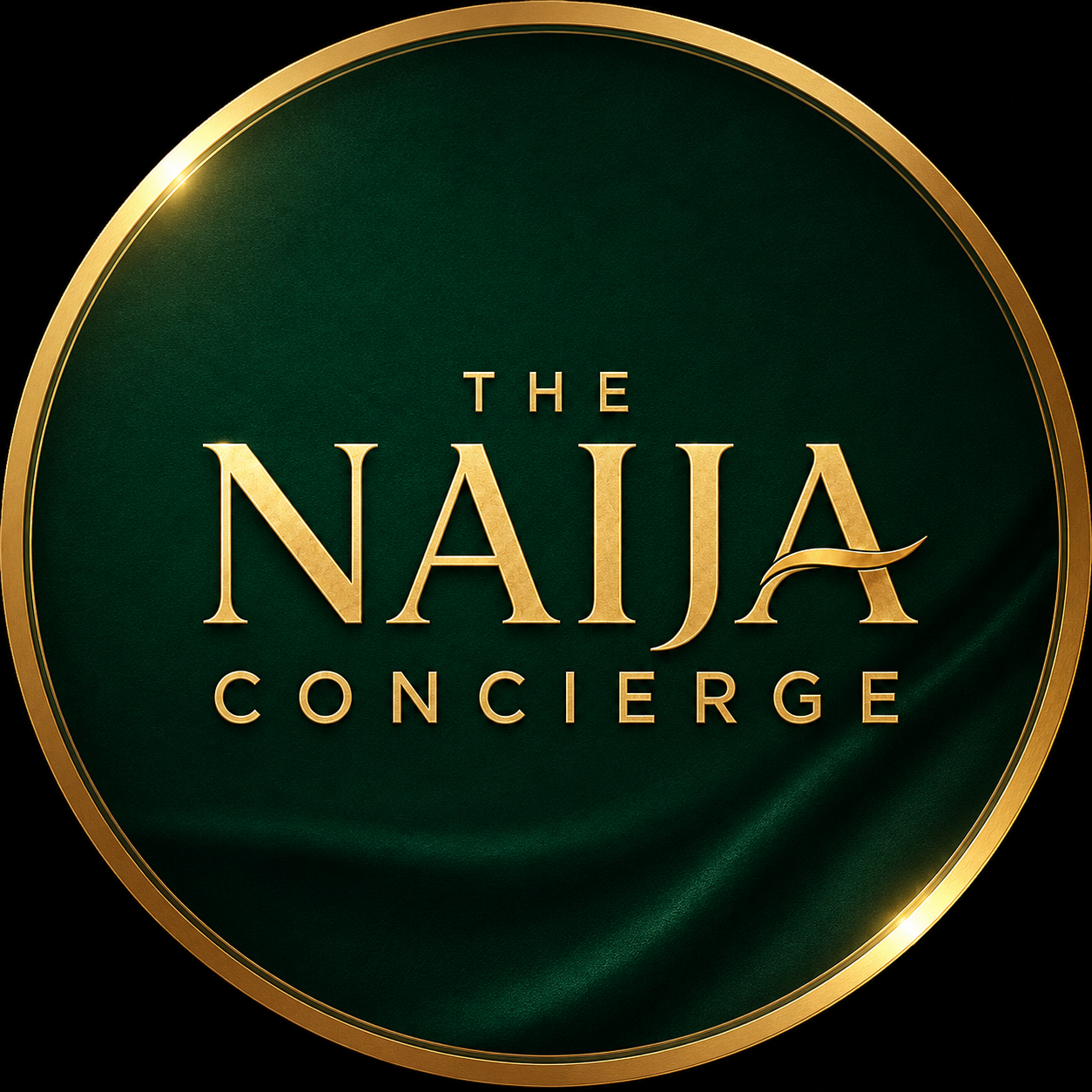 The Naija Concierge logo
