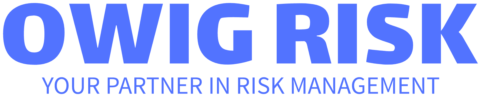 OWIG Risk Logo