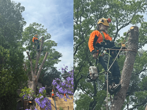 {{ custom_values.service_1 }} in {{custom_values.biz_area_1})