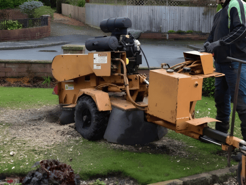 Portable Stump Grinding in Liverpool