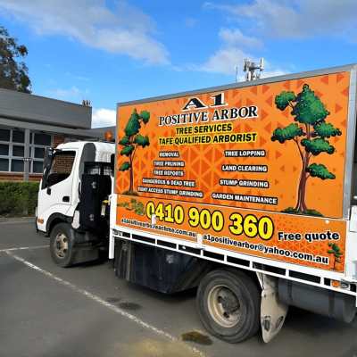 Arborist Services Liverpool