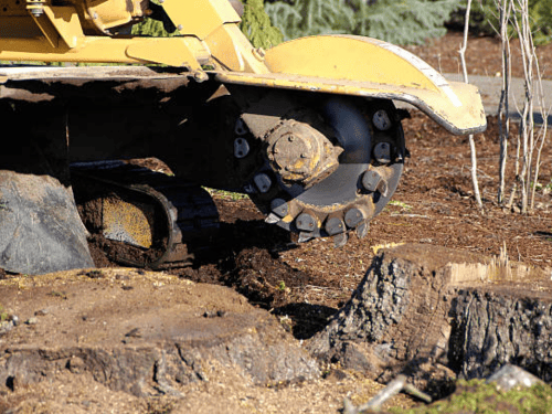 Stump Grinding in Liverpool