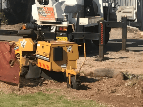 900mm Access Stump Grinding in Liverpool