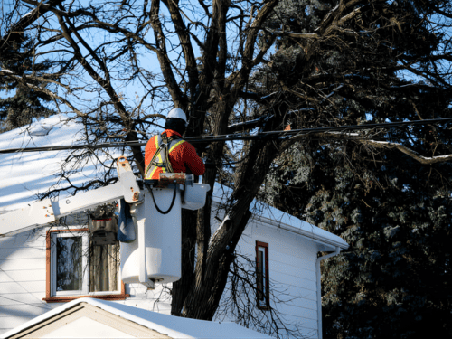 House Powerlines Pruning in Liverpool