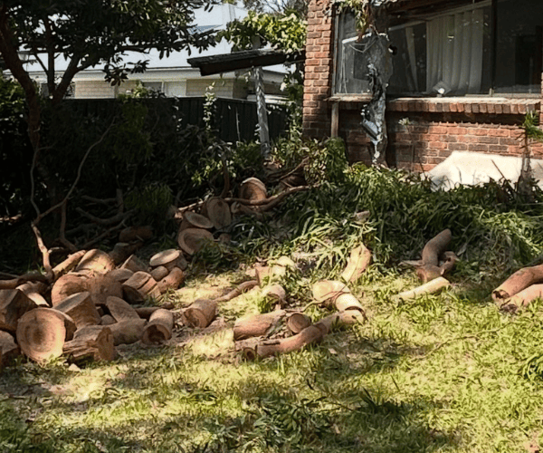 Stump Grinding Liverpool