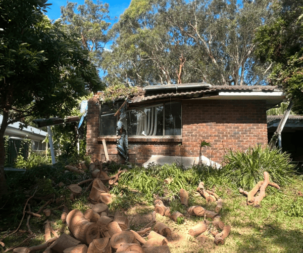 Tight Access Tree Removal Liverpool