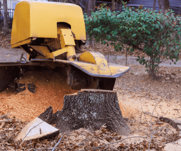 Portable Stump Grinding Liverpool