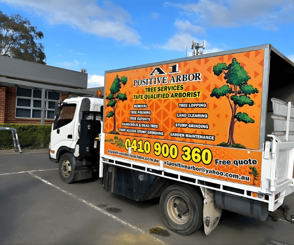 Tree Reports Liverpool