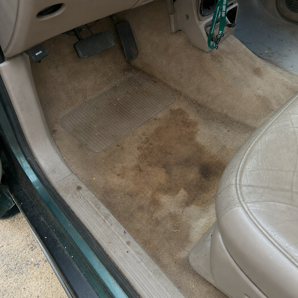Stained Carpet