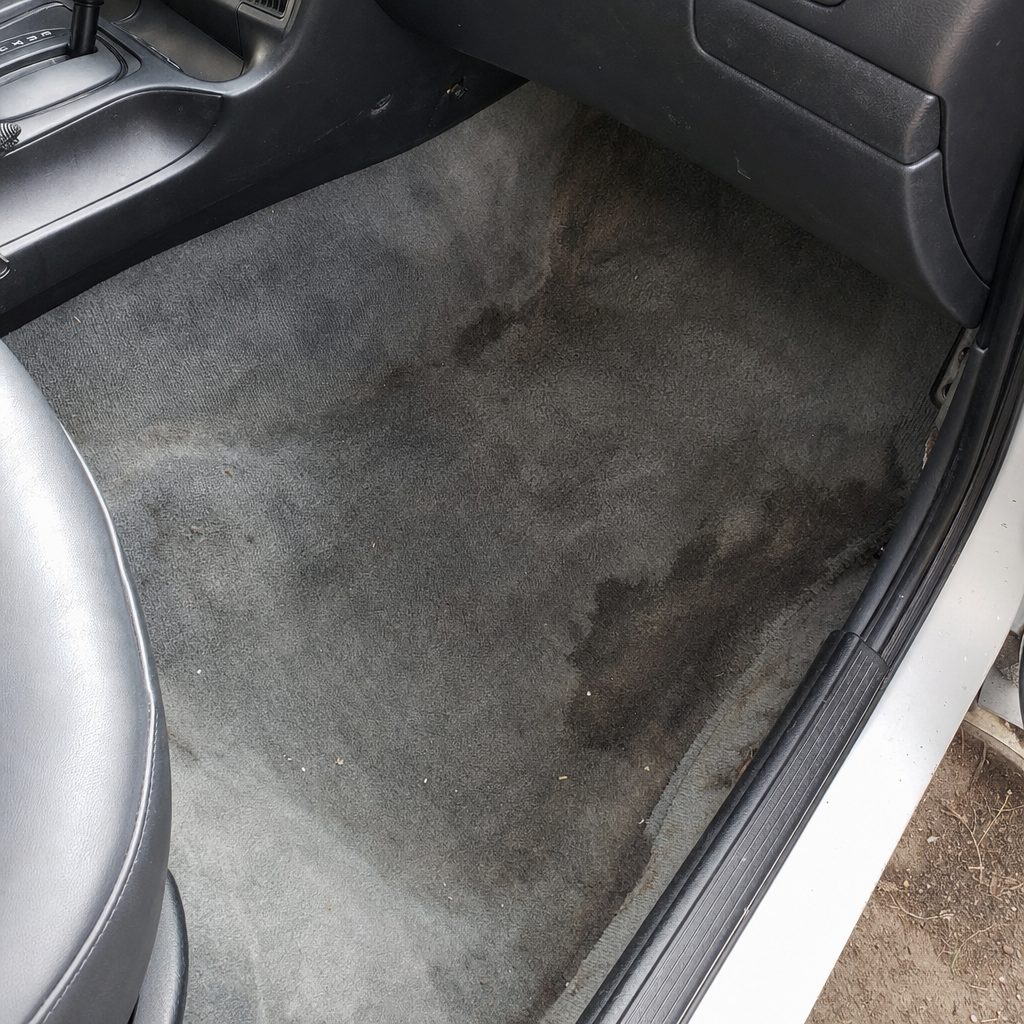 Water-Damaged Carpet