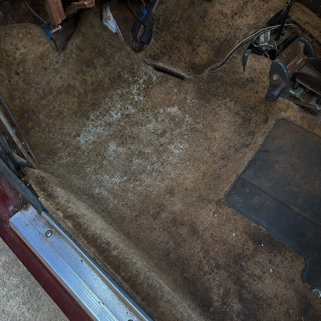 Mold & Odor Issues