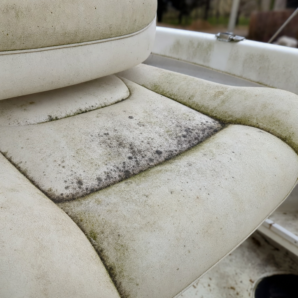 Mold and Mildew Issues