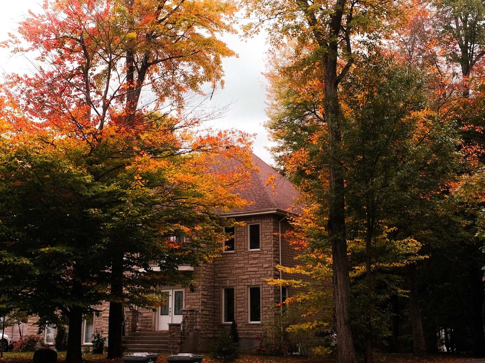 Brick two-story house framed by orange and red fall trees
