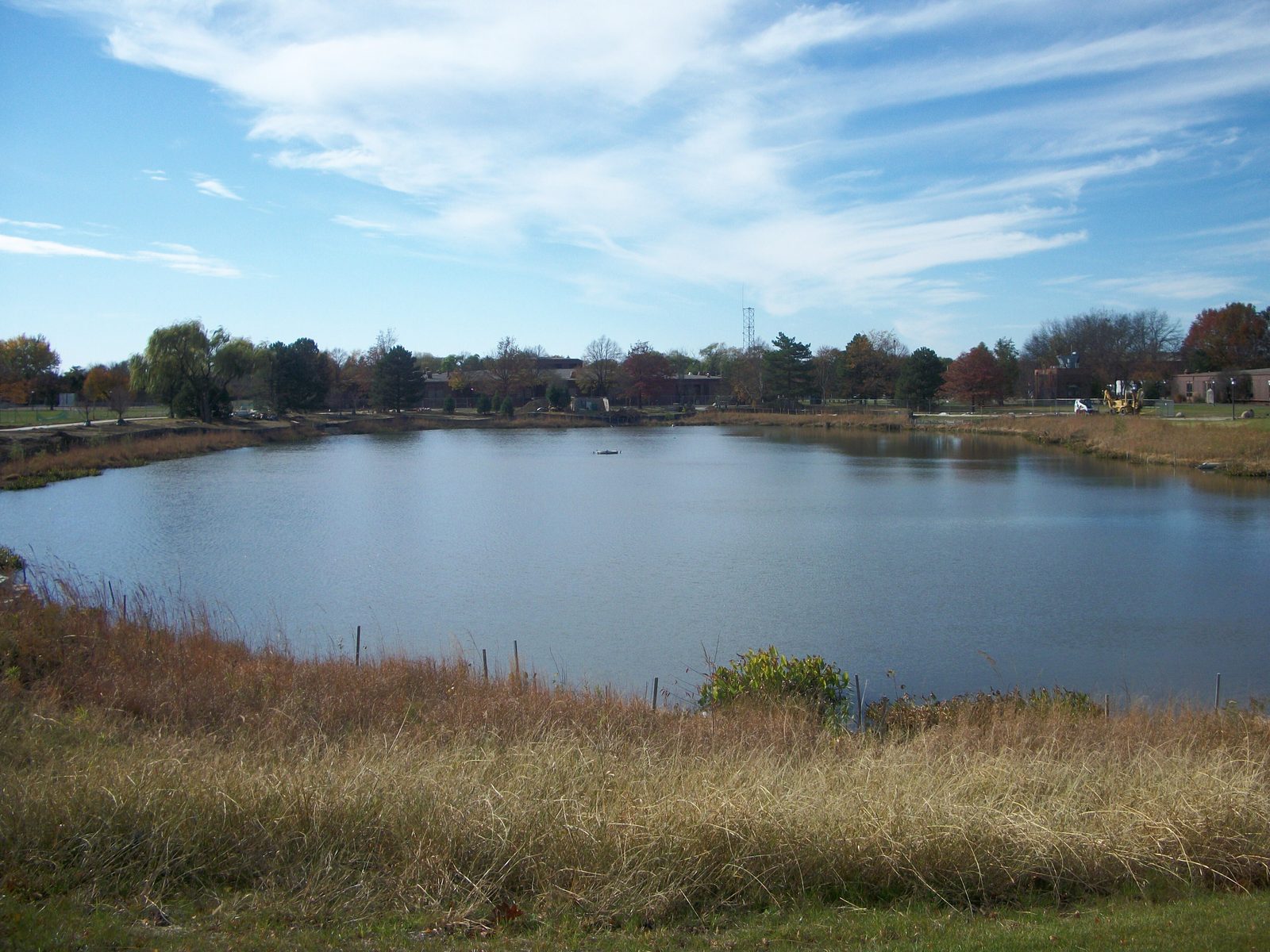 A pond and park in Glen Ellyn, Illinois