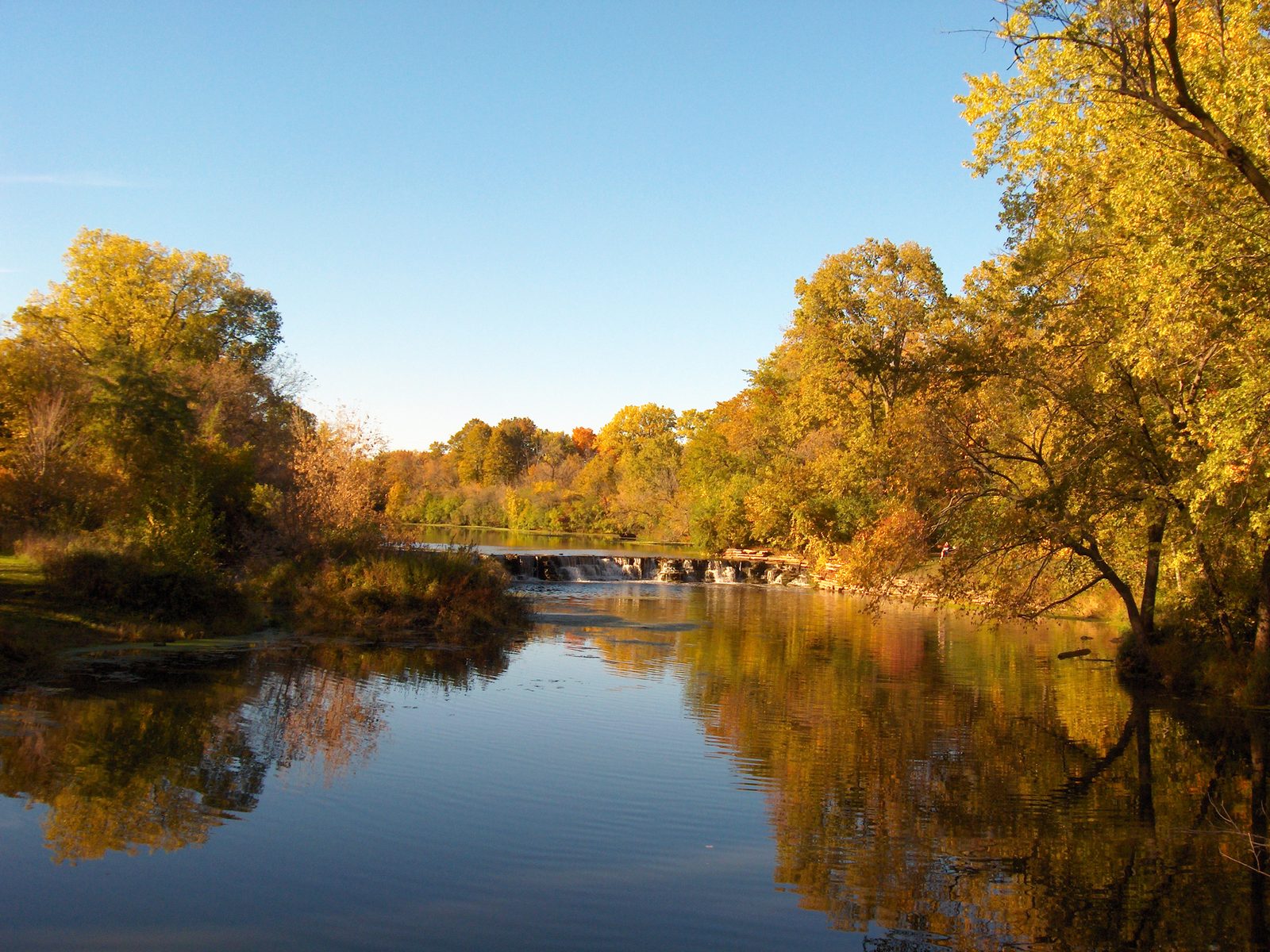 Warrenville Grove Forest Preserve in autumn