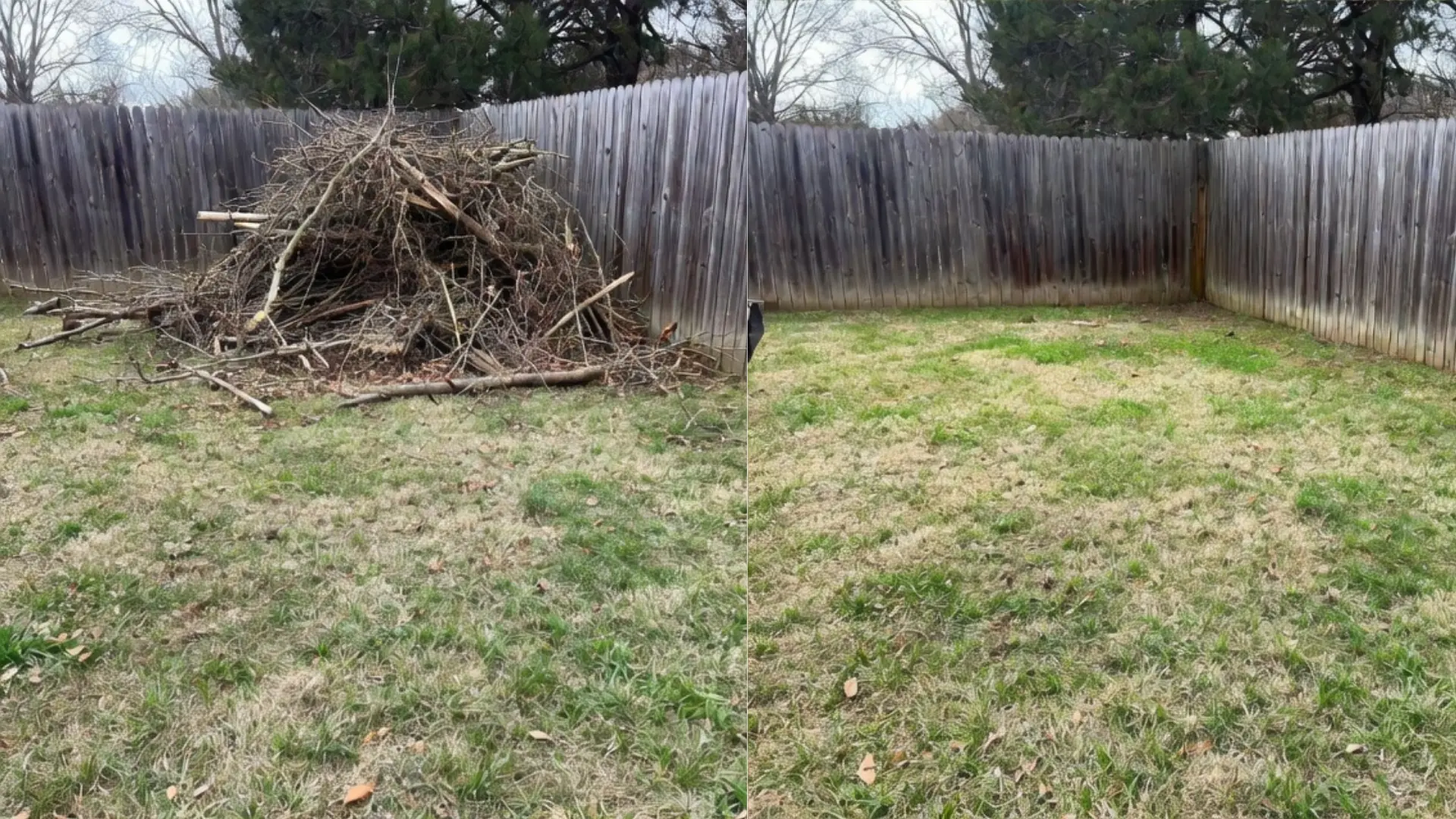 Yard debris cleanup by Chums Junk Removal in Northwest Arkansas