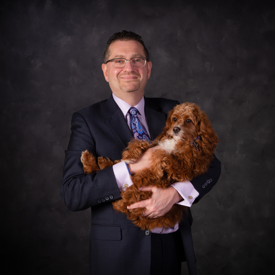 Fluffy tan and white dog sitting on a wooden crate in the studio