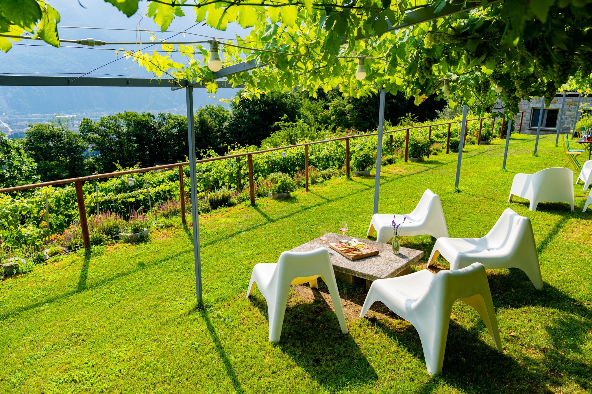 Degustazione tra i vigneti del Prünent in Val d'Ossola