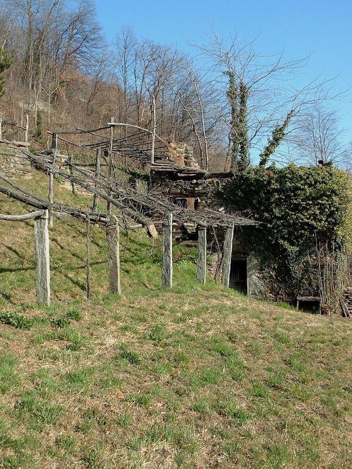Topia storica in inverno nel paesaggio rurale della Val d'Ossola