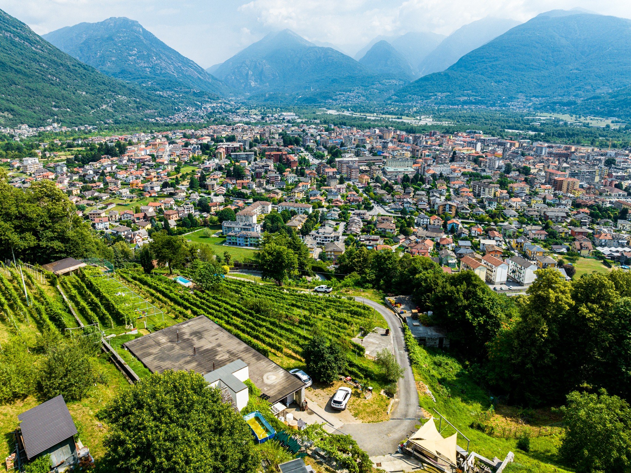 Vigneti di Domodossola verso Masera, Montecrestese e Trontano