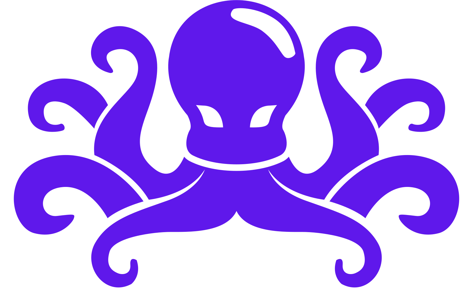 Octopus System