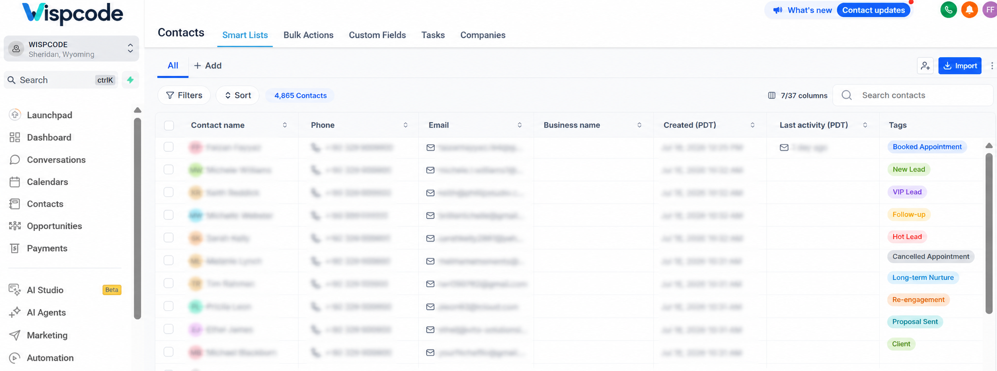 Organized contact list with multiple GoHighLevel Tags Organized contact list with multiple GoHighLevel Tags