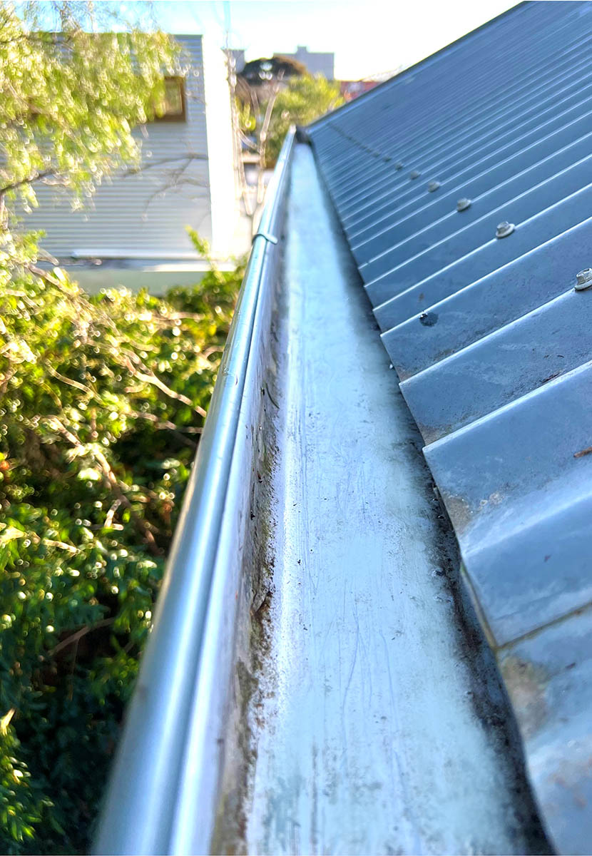 Clean Gutter