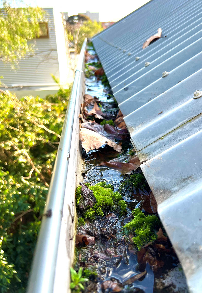 Blocked Gutter