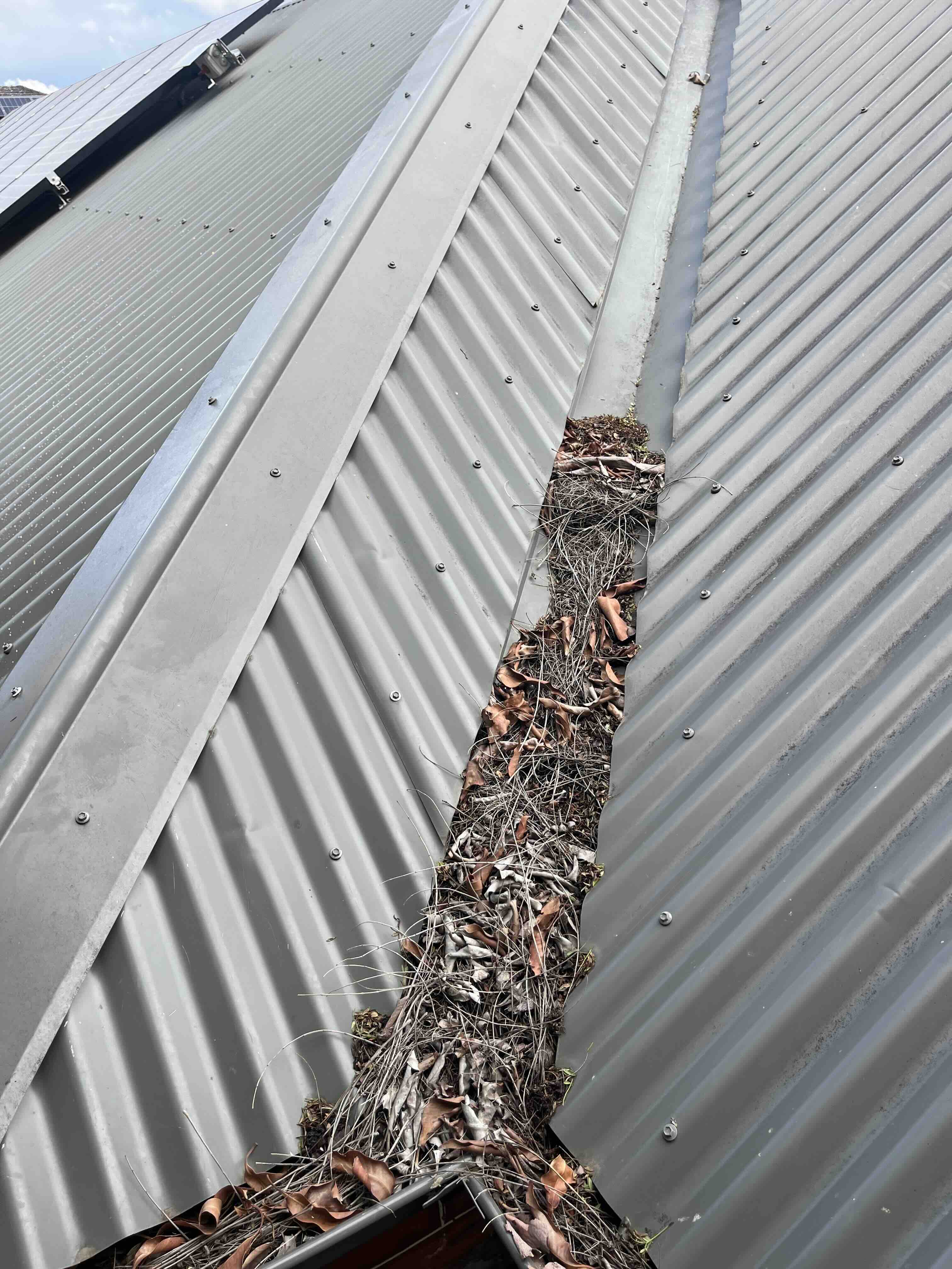 Blocked Gutter