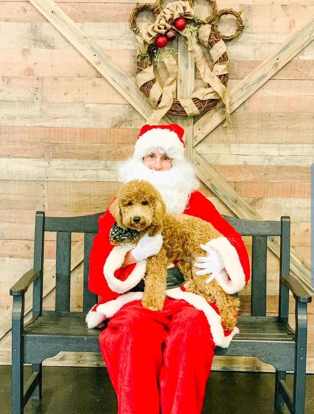 Person In Santa Costume Holding Doodle