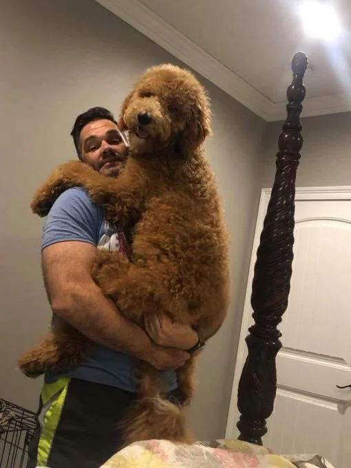 person holding a big doogle