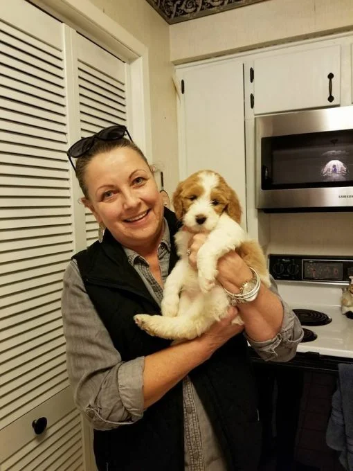 A woman holding a black and brown doodle