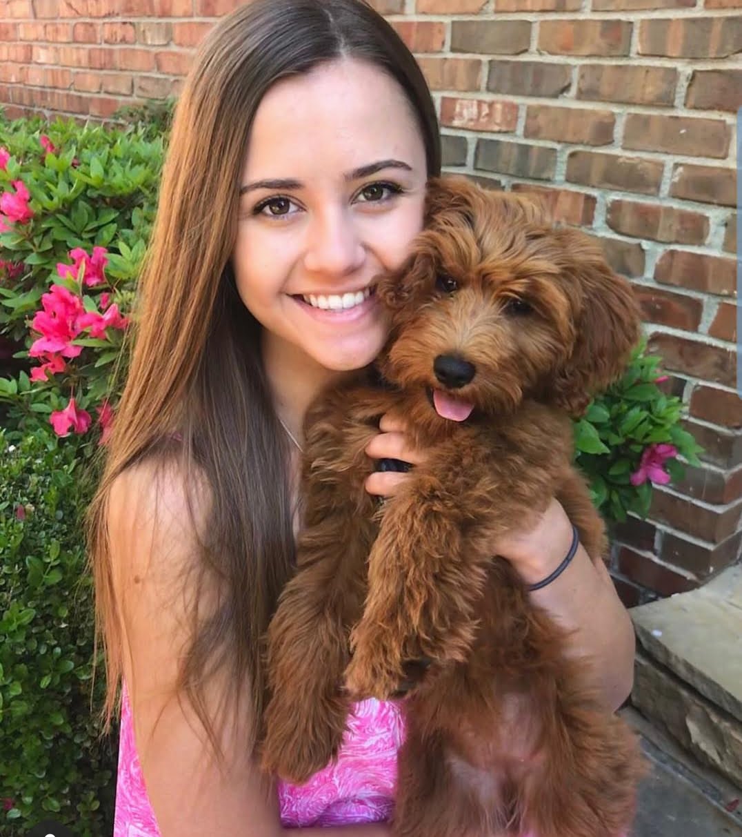 Doodle being held by a girl upto her face