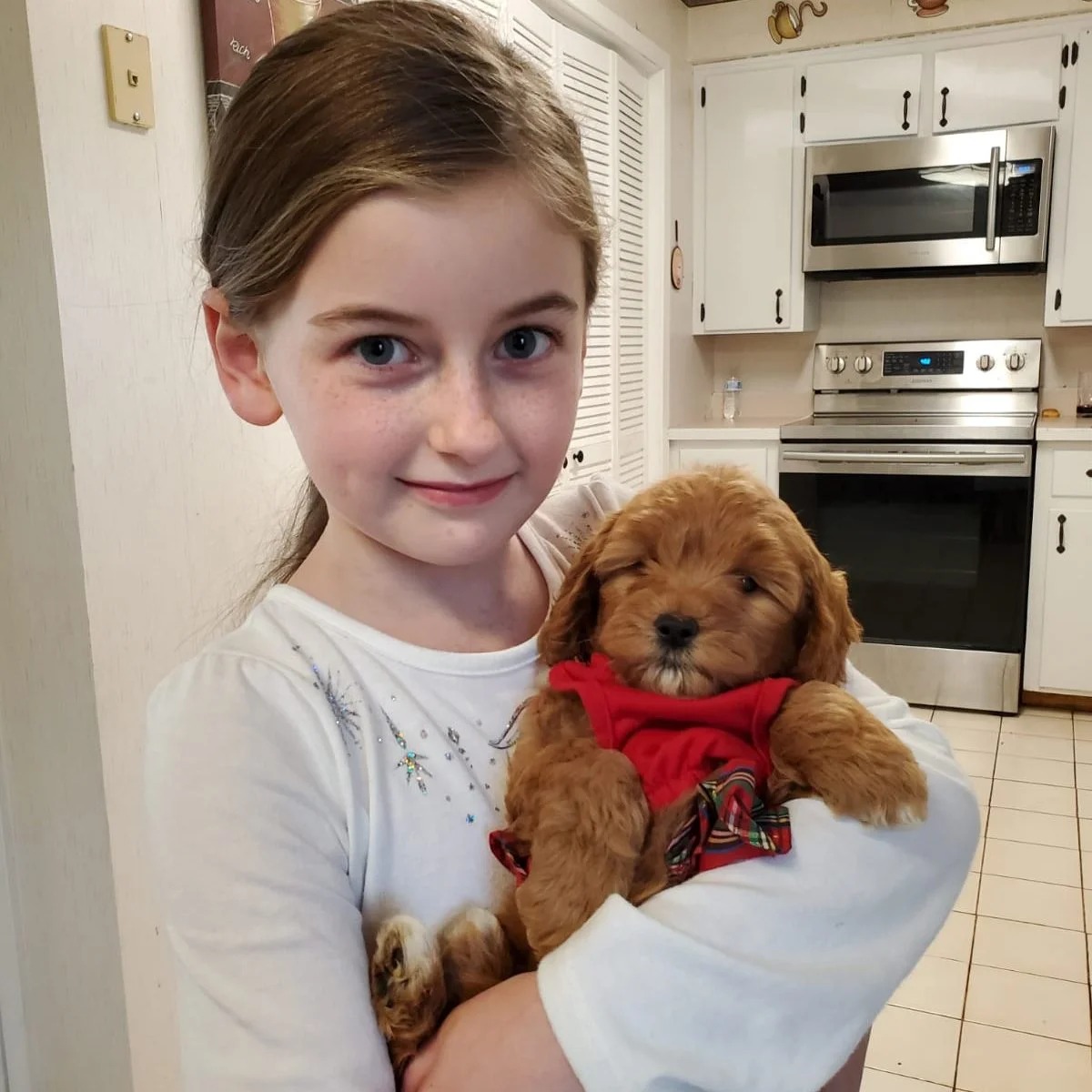 Young girl smiling while holding a fluffy brown puppy dressed in a red outfit inside a cozy home kitchen with bright cabinets and modern appliances.