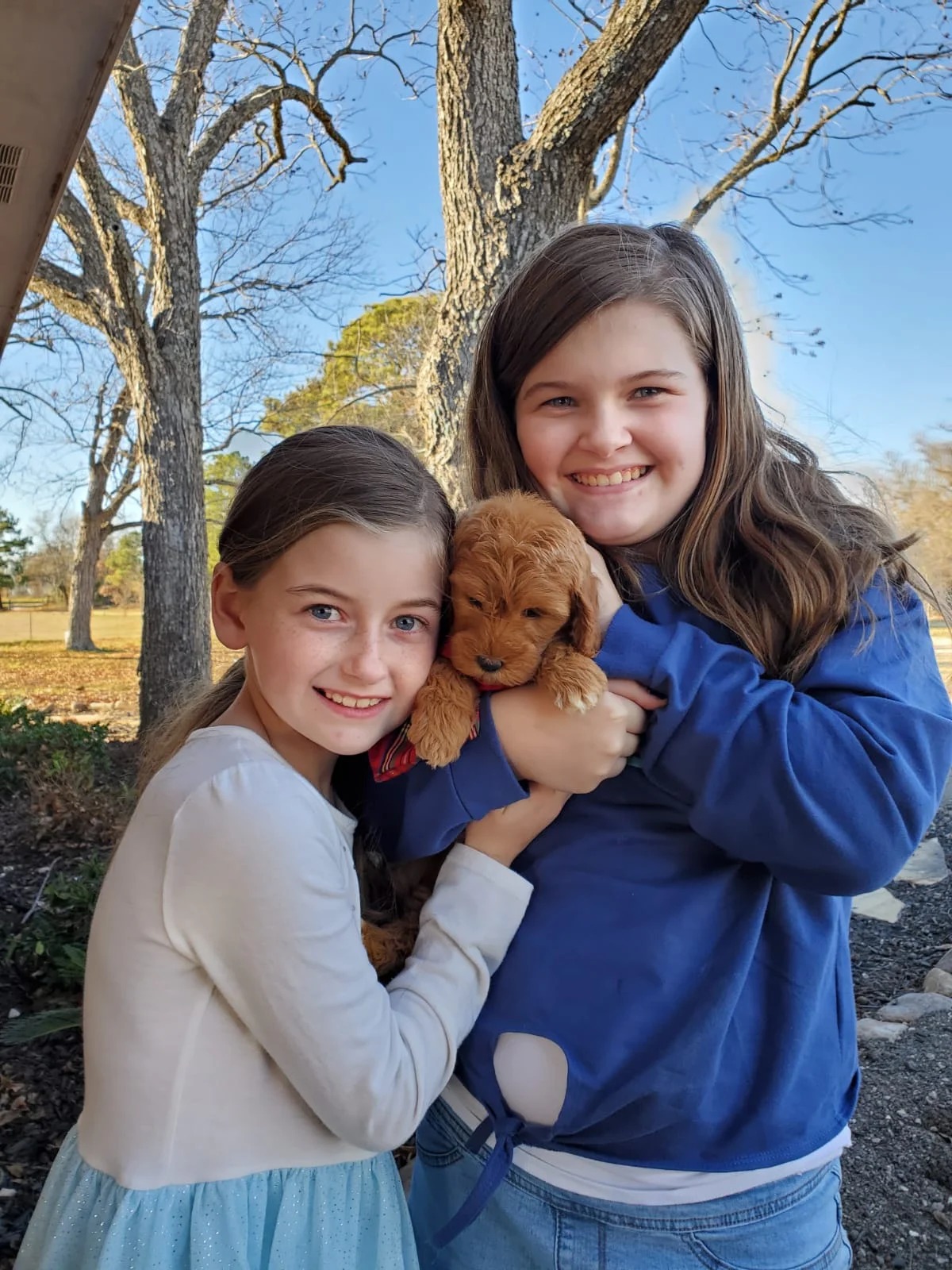 Two smiling girls outdoors holding a small fluffy brown puppy together, surrounded by trees and bright natural sunlight, creating a warm and cheerful family-style moment.