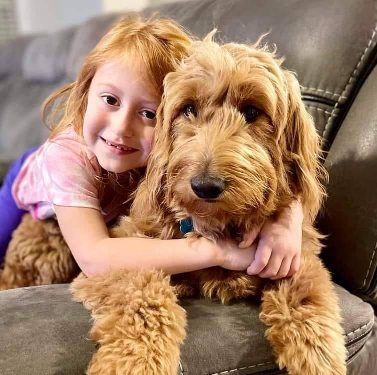 girl hugging a doodle puppy