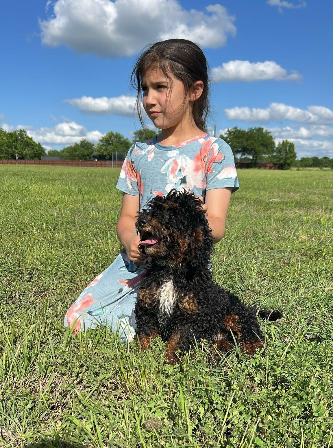 Young girl sitting in a grassy field holding a small black curly-haired puppy under a bright blue sky with clouds.