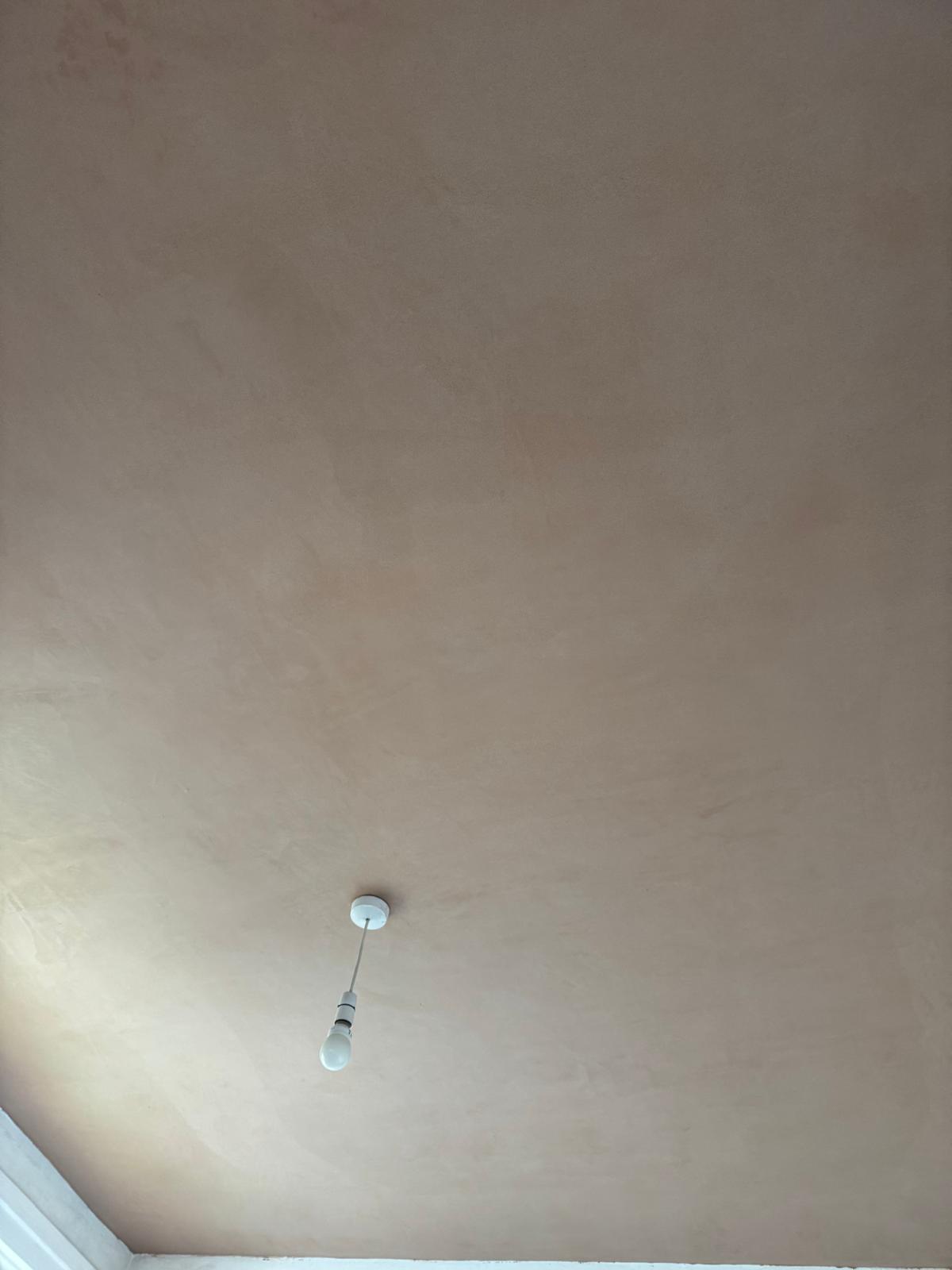Ceiling plastering in Livingston