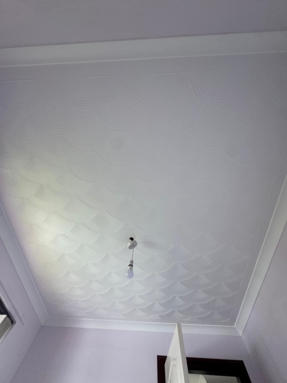 Patterned plaster ceiling with coving — CTL Plastering Scotland