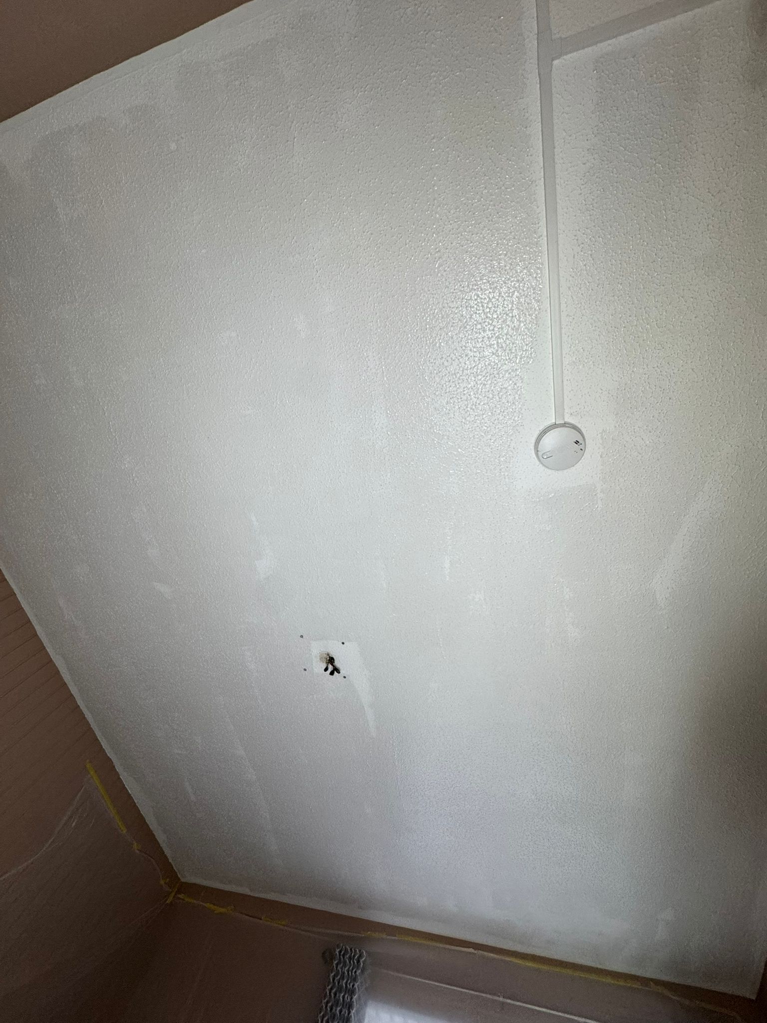 Ceiling skimmed with coving finished, CTL Plastering