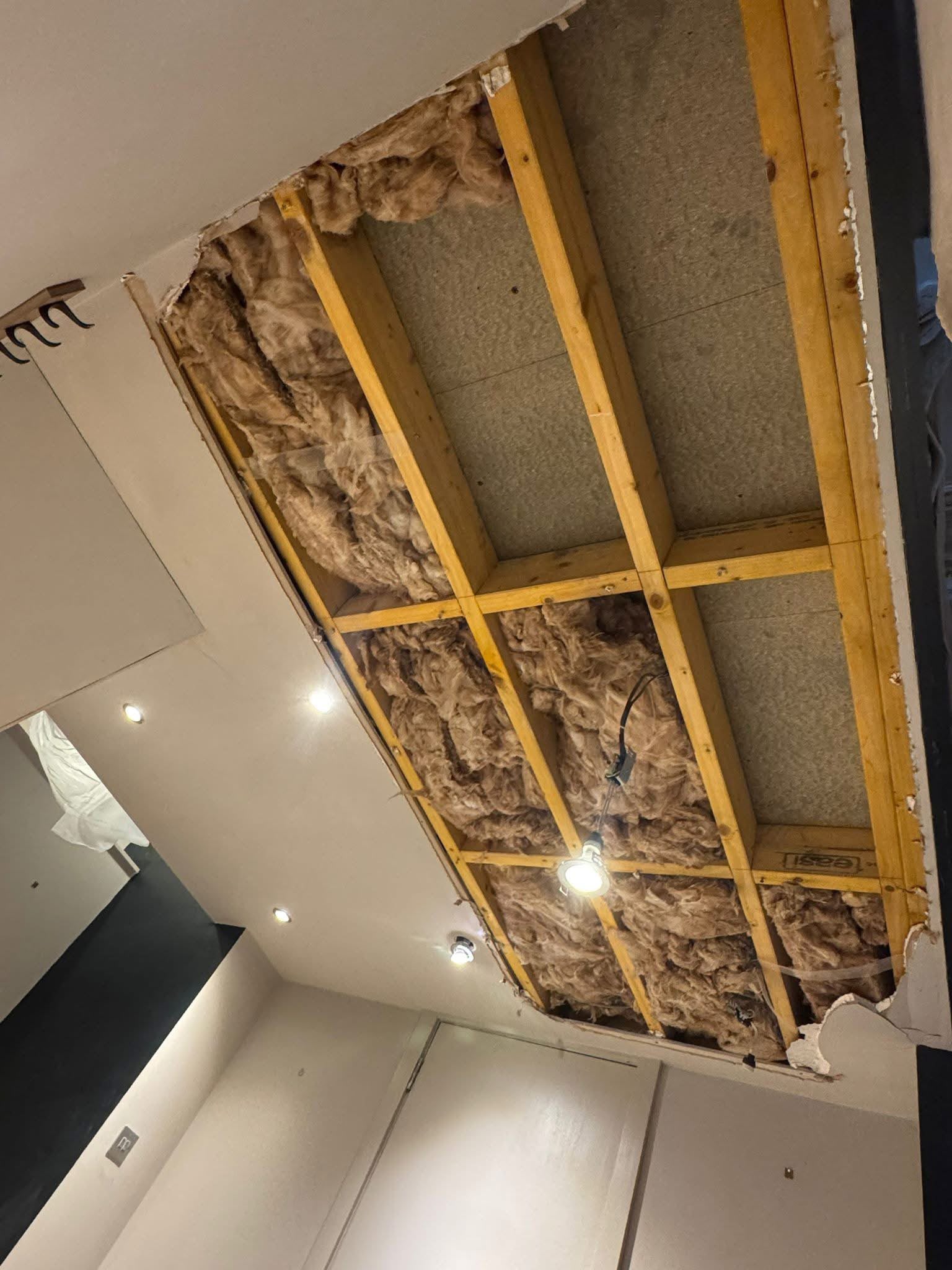 Ceiling before repair in Edinburgh