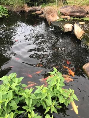 {{ custom_values.service_4 }} in {{custom_values.area_2})