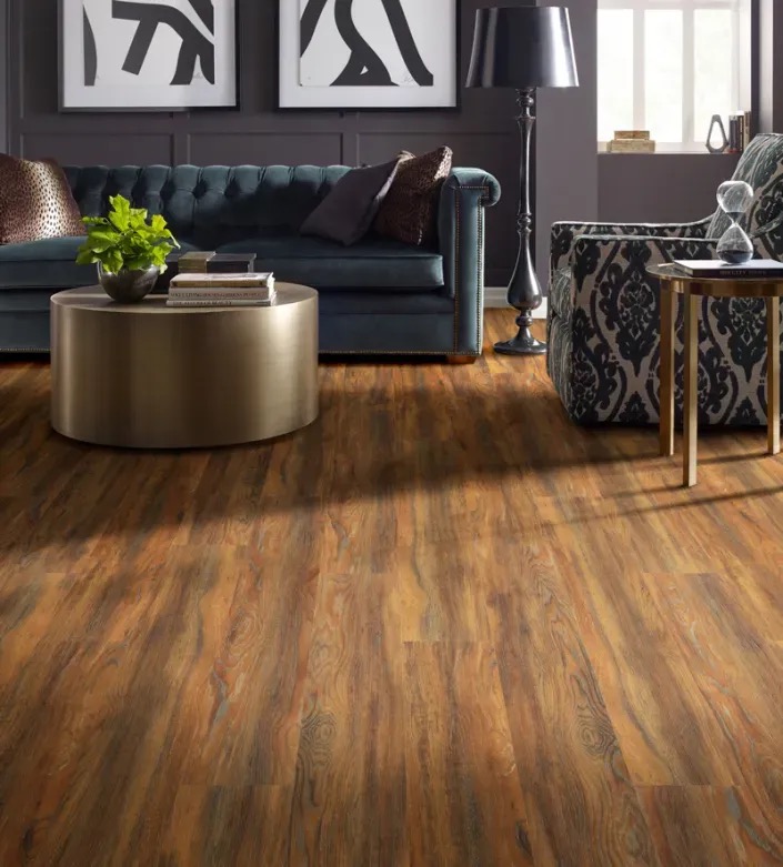 Living room with wood-look flooring